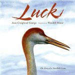 Luck-Book